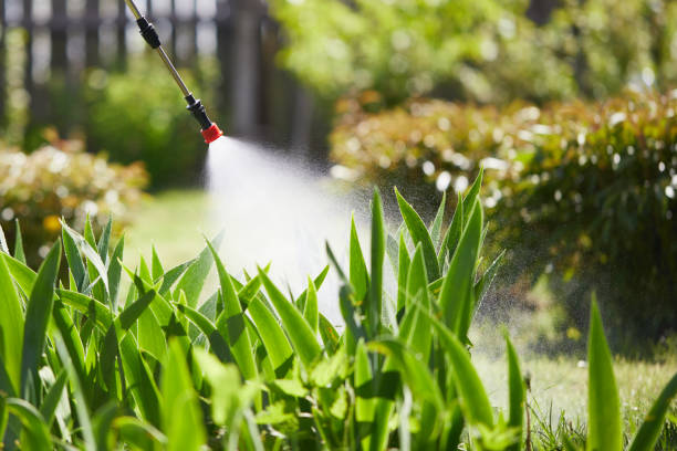 24/7 Emergency Fumigation Services experts in Oaklyn, NJ